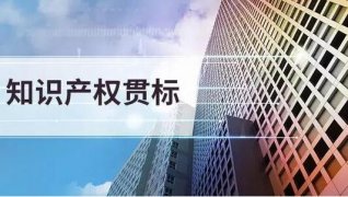 2020年湖北省知识产权贯标奖励政策汇总