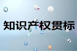 安徽宣城泾县知识产权贯标奖励政策