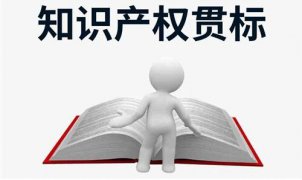 2020年广东省珠海市知识产权贯标奖励政策汇总