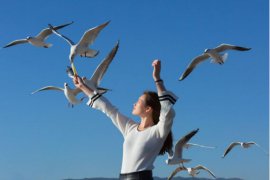 2020年苏州市柔性引进海外人才智力“海鸥计划”项目申报指南