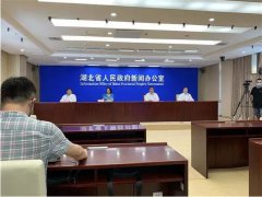 湖北省对两化融合贯标企业每个奖补30万元