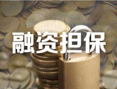 广州市2020年中央财政小微企业融资担保业务降费奖补资金项目申报指南